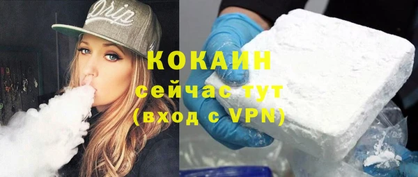 сатива Кукмор
