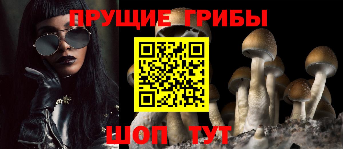 Янаул  Псилоцибиновые грибы мухоморы  Вход с VPN 